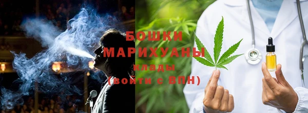 спиды Вяземский