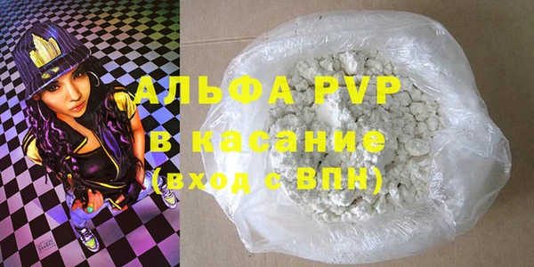 спиды Вяземский