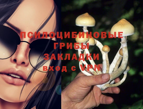спиды Вяземский