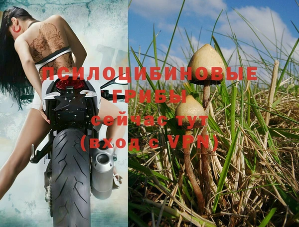 спиды Вяземский