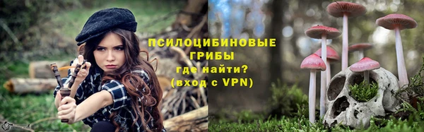 спиды Вяземский