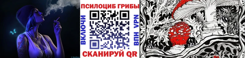 Псилоцибиновые грибы MAGIC MUSHROOMS  Купить где  Мегион 